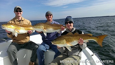 Triple Hook ups are always fun!