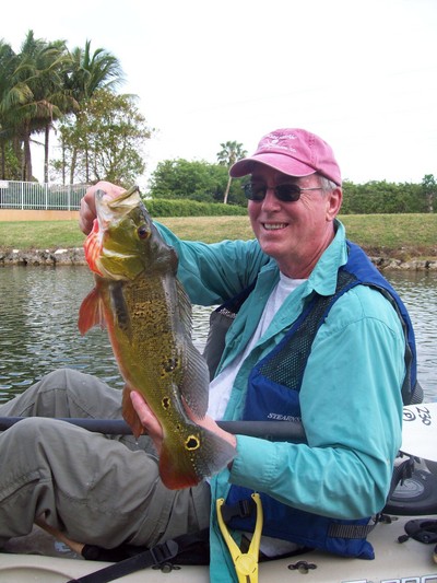 Peacock Bass were hot in April
