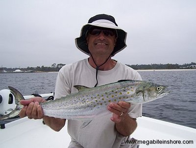 Jeff caught this big 5lb Spanish while fishing pensacola bay