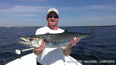 Nice 20+ Lb King caught in Pensacola Bay
