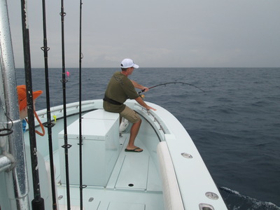 Angler Battle Big Shark