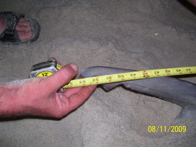 Rich Osborne's 1st ever , see tape