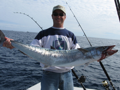 Nice Miami Kingfish