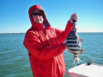 Larry and a big sheephead