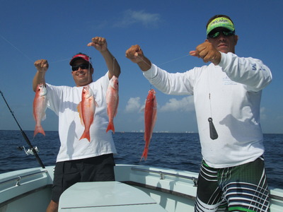 Full stringer of tasty vermillion snapper