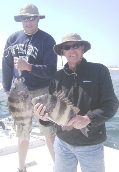 Nice pair of Pensacola Inshore Snapper (Sheepshead)