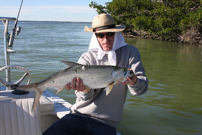 Tarpon