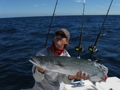 Kingfish - Shark Victim