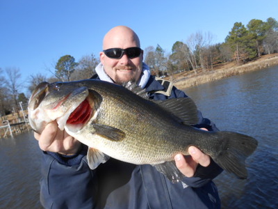 Nice Prespawn Bass