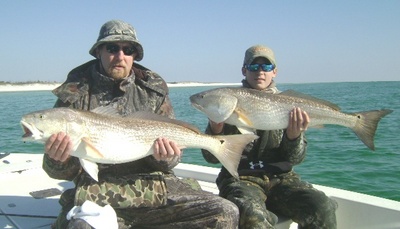 Sight Fishing for Bull Red Fish