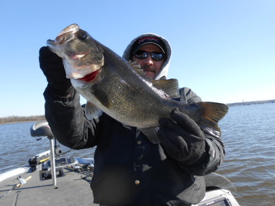 This Bass came out of 6 feet on a Spinner Bait