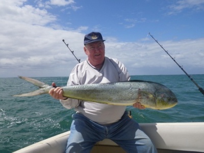 Durban Dorado (Mahi-mahi)