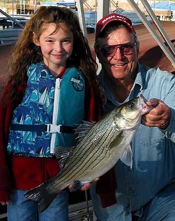 Hybrid Bass Trolling Countdown Rapala