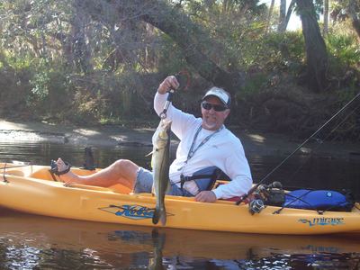 27 1/2 inch Snook from the rivers