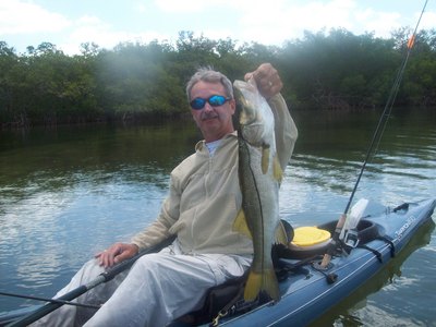 A nice southern Tampa Bay Snook