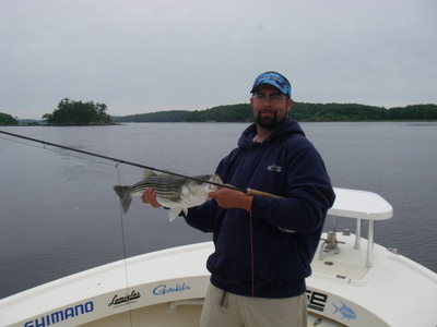 Chris Oliver with his first fly caught striper of 2010