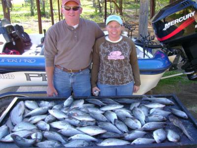 David and Sue from Greenville Alabama with 60 good keeper crappie