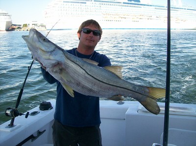 Nice snook caught intracoastal fishing