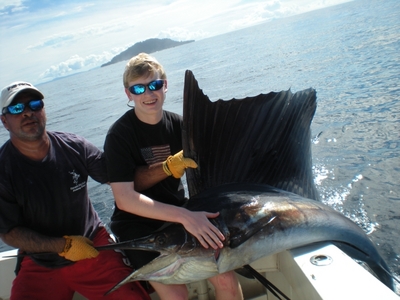 sailfish