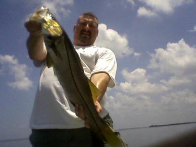 Tampa Bay 30+ Snook