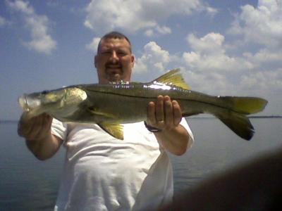 Tampa Bay 30+ Snook