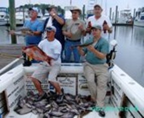 The bite was slower than usual, but we got a few