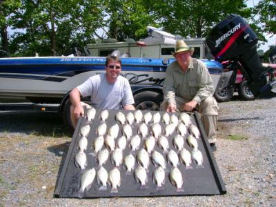 Here is a nice stringer of crappie from hot weather crappie fishing on Weiss Lake.