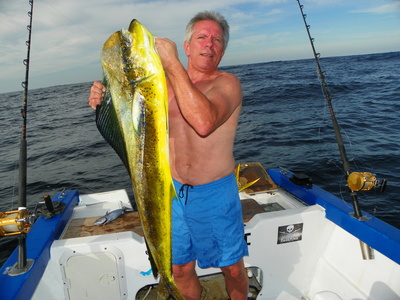 Nice Dorado!