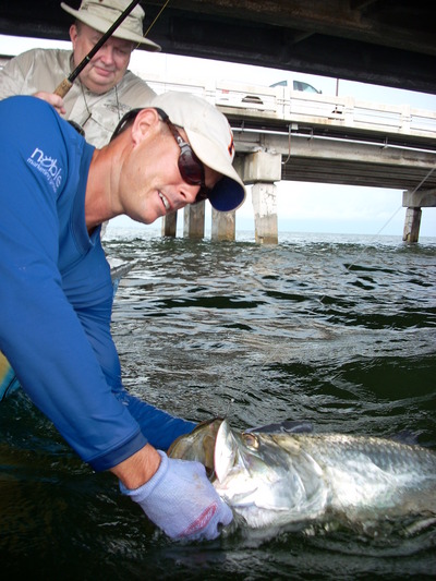Tarpon Bait!