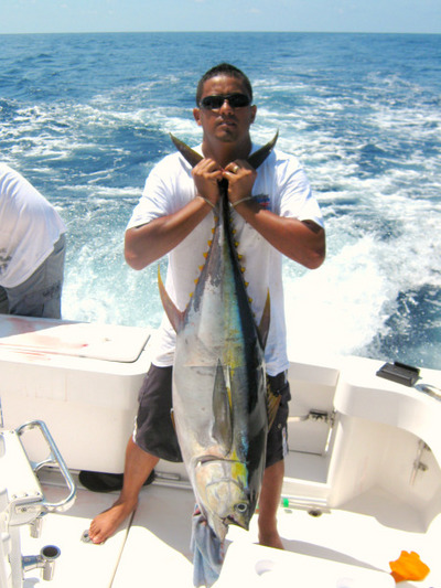 75 lb Yellowfin Tuna