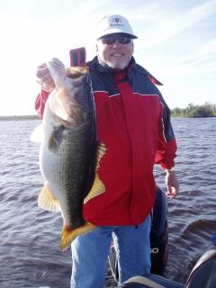 This one bit a wild shiner.