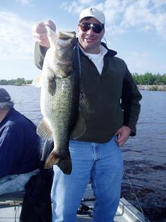 24.5 inch Bass