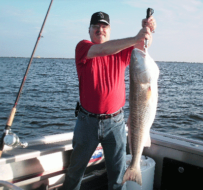 20+ pounds on light tackle