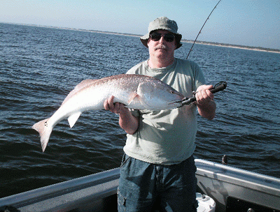 Everybodies doing it, why not YOU