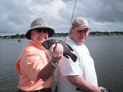 Chunky river Sea Bass! (tasty)