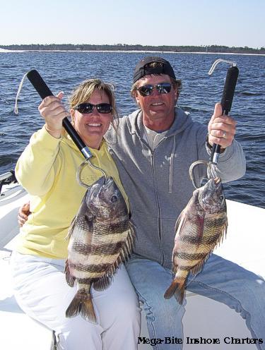 Two nice Sheepshead