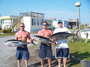 Nice Yellowfin