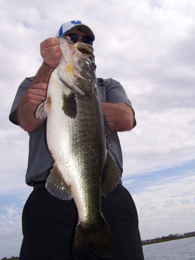 lake toho bass fishing