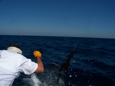 shes on the wire BABY