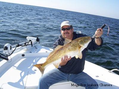 This big Red hit a Mann's stretch 25 (orange and red)