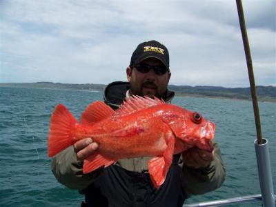 A nice Vermillion caught on a diamond bar.