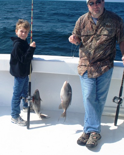 Big Triggerfish off Orange Beach