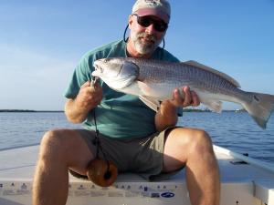 Redfish and snook will continue to patrol the flats.....
