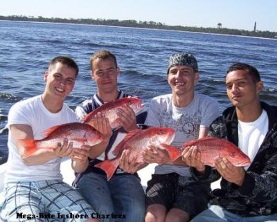 Looks like it's time for a fish fry!