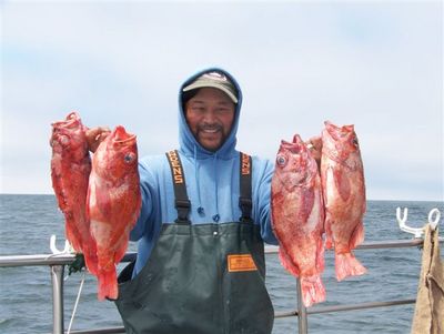 Darren Seiji with 4 nice Vermillions