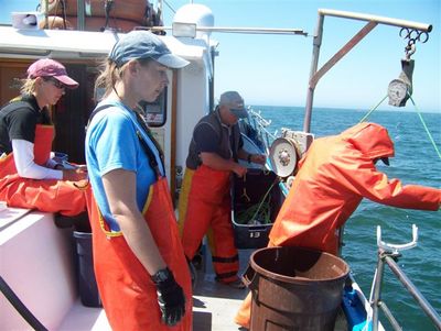 The crew working on deck