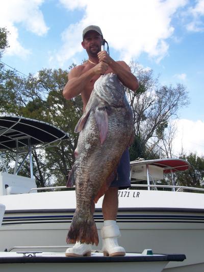 Jesse Pfeiffer with his 81.2 pound black drum.