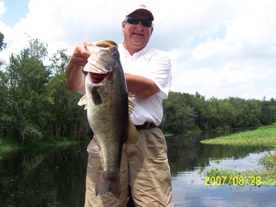 St Johns River Trophy Bass Caught in August Flipping A Producto Craw