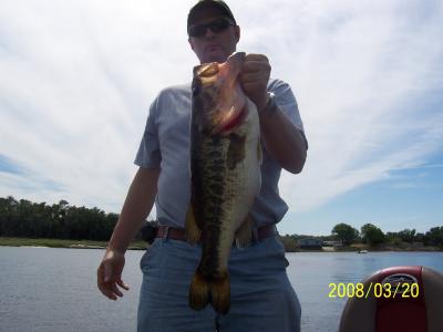 9 1/2 pounder on wild shiner