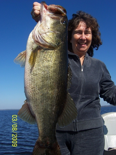 Mrs Reed 9.8 LB